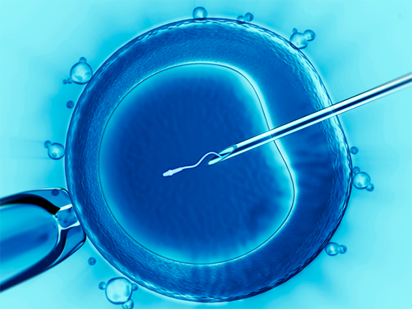 27个卵泡能配成多少个胚胎？