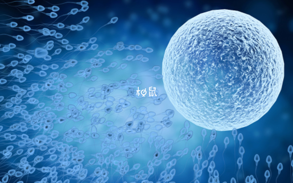 移植两个胚胎都成活可以只要一个